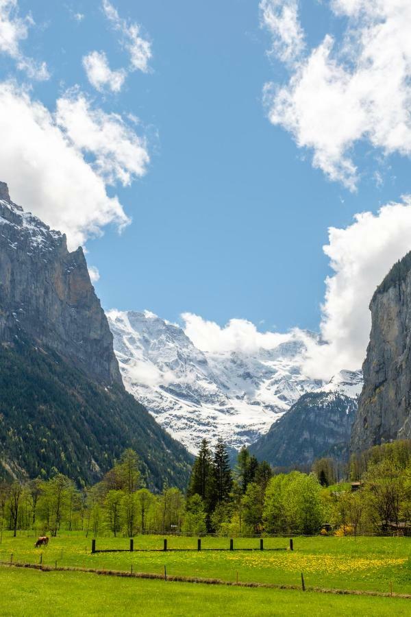 Hafod A Hendre Διαμέρισμα Lauterbrunnen Εξωτερικό φωτογραφία