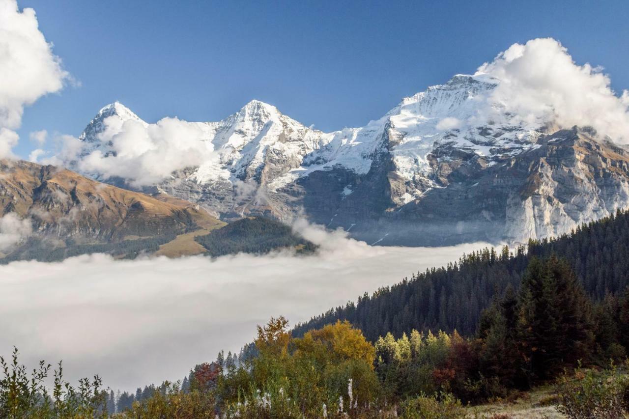 Hafod A Hendre Διαμέρισμα Lauterbrunnen Εξωτερικό φωτογραφία